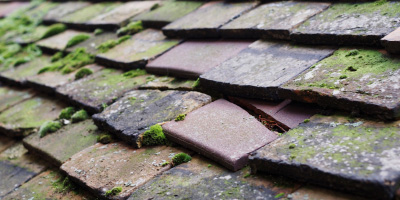 Rose Hill roof repair costs
